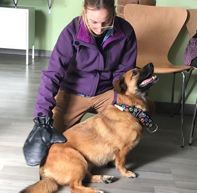 Terapia asistida con perros para trabajar aspectos emocionales con las personas con IL